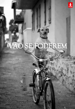 Camiseta Vira-Lata Caramelo - OUTLET