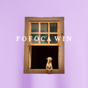 Camiseta Fofoca Win